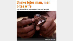 독사에 물린男, “같이 죽자”며 아내 팔 물어뜯어 맹독 전달, 하지만…