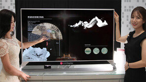 LG디스플레이, 日서 해외기업 첫 ‘업적상’