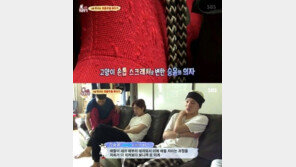 ‘동물농장’ 위너 이승훈 “반려묘, 강승윤 고가 의자 망가뜨려”