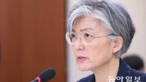 표창원 “강경화 장관, 외무고시 카르텔 벗어나 한국 위상 높일 것”