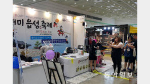 “한 명이라도 더… 축제 방문객 모시러 서울까지 왔어요”