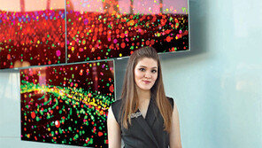 삼성전자, 카자흐에 QLED 등 최신 제품 전시