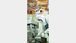 [영남 파워기업]3대가 58년간 ‘참기름 만들기’ 외길… 글로벌 식품시장에 도전