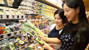 쇠고기 60g-생선 1토막… 롯데百 ‘한끼밥상’ 코너 신설