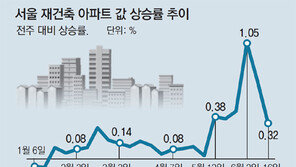강남 재건축시장, 현장단속에 집단휴업… 세종시에선 다운계약 등 불법거래 여전
