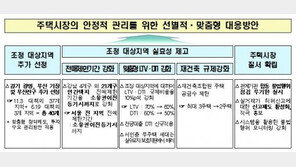 [6·19 부동산 대책]서울 전 지역 전매제한기간 강화