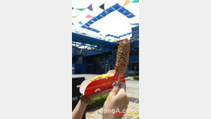 비엔나핫도그, 하이브리드매장으로 뜬다…비수기 여름매출 전략적 강화