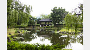 [2017 한국소비자 평가 최고의 브랜드 대상/천안시]‘시민중심 행복천안’… 민선6기 역점사업 돋보여 