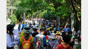 “걷기여행, 지역경제 활성화 긍정효과”…문체부 조사