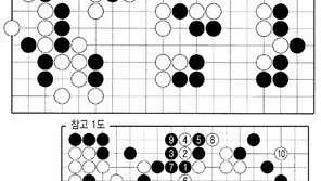 [바둑]알파고 vs 알파고 특선보… 탄탄대로(坦坦大路)