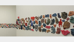 야생이 벗겨진, 수집된 생명체를 떠올리다