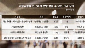 대형쇼핑몰 인근 상가, 투자수익 상승… 뜻밖의 ‘동반성장’