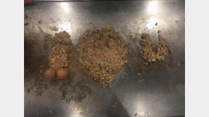 설리, ‘장어 영상’ 논란…19금 볶음밥·생크림 먹방 ‘재조명’