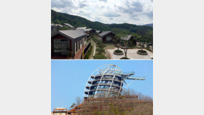 ‘관광 도시’ 단양에 이색 명소 7월 잇따라 개장