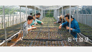 “버려진 땅에 작물 자라니 동네 생기”