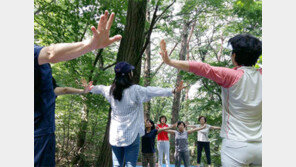 용인자연휴양림 등 4곳서 산림치유 무료 체험
