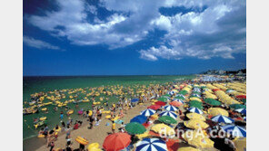 직장인 여름휴가 비용 평균 88만원…국내 55만원, 해외 153만원 예상