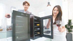 [CAR&TECH]의류관리 척척, VR체험 생생…‘욜로족’ 위한 가전 인기