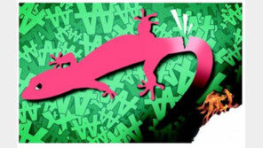 “도마뱀 수컷 생식기=행운의 부적?”…인도 밀수업자들의 희한한 돈벌이