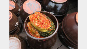 김치 많이 먹어도 고혈압에 안 걸린다?…“유산균·칼륨이 나트륨 상쇄”