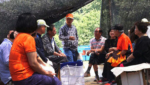 [오늘의 채널A] 벌통 분양으로 떼돈 번 박근호씨