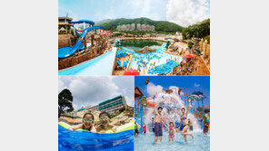 시원한 물살 맞으면 더위가 싹! 워터파크 개막