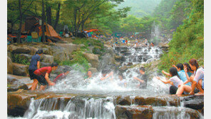 대구시-달성군, 비슬산 관광지 본격 개발