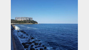 [화제의 분양현장]내달 오픈… 전객실 오션뷰 자랑 