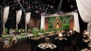 [화제의 분양현장]다빈치홀 리뉴얼 기념 프로모션 