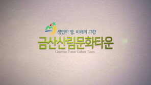 [2017 현장인터뷰 오늘] 오감만족 힐링! 숲에서 놀자! “산림생태종합휴양단지 - 금산산림문화타운”