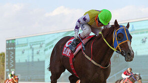 “박진감 잘 살렸다”…전반기 경마실적 합격점