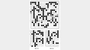 [바둑]알파고 vs 알파고 특선보… 아슬아슬 줄타기