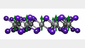 2차원 자석 개발… 깜짝 놀랄 새로운 전자소자 기대