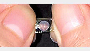 누에고치로 ‘시력 개선 필름’ 만들었다