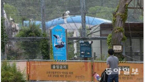 서울대공원 동물원장, 여직원 성희롱 의혹…대기발령 조치