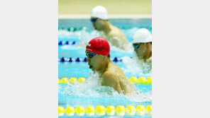 광주, 동아수영대회서 배운다