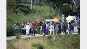 광팬들 휘파람 불고, 싸우고… KLPGA 씁쓸한 풍경