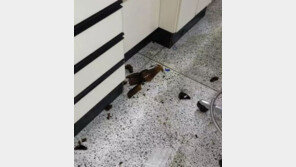 ‘화학 실험 중 펑’ 대학생 5명 부상, 남학생 1명 안면부 중화상