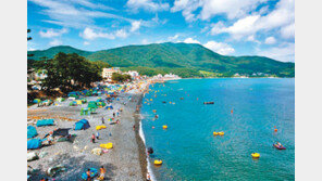 “경남으로 오이소” 경남지역 해수욕장 피서객 유치 경쟁