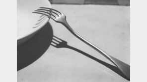 사진만이 그의 유일한 언어였다