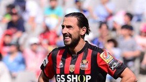 19골 중 8골이 데얀…서울의 공격루트 걱정