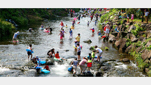 보는 관광서 체험관광으로… ‘제주의 비경’ 즐기세요