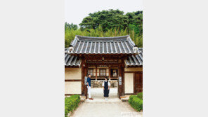 시간은 그곳에 오래 남아 대가야 고령