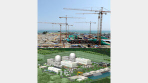 문재인 정부 ‘脫核 드라이브’… 非전문가 손에 결정 맡겨 논란 