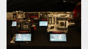 '제품 선택의 폭 확대' 마이크로닉스, 컬러풀 메인보드 유통 나선다