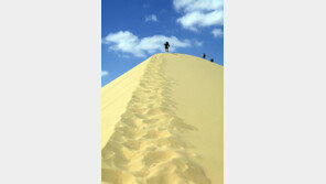 [스포츠는 내 친구] 직장인 모험가 김경수 “젊은이들이여, 신념만 있으면 사막도 건넌다”