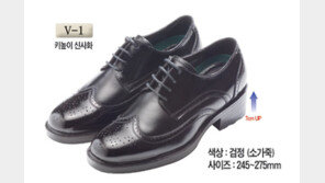 [2017 상반기 히트상품] 7cm 키높이 효과 “전혀 티가 안나네”