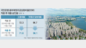 DSR 300% 한도, 상환능력 없는 대출자 못걸러내