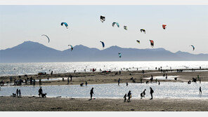 다대포… 감천문화마을… 관광객 몰려드는 사하구