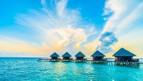 한국인 10명 중 6명 “자연으로 떠나고 싶다” …개별자유여행 더 선호